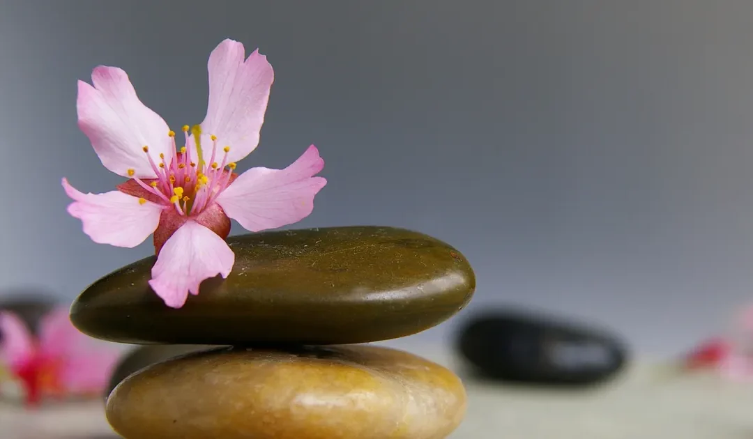 The Path to Complete Wellbeing: Exploring Holistic Health