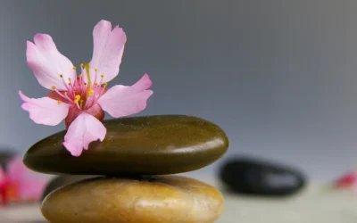 The Path to Complete Wellbeing: Exploring Holistic Health
